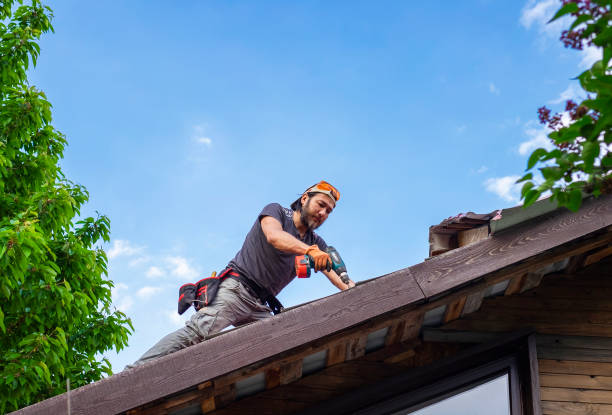 Best Green or Eco-Friendly Roofing Solutions  in Selma, NC