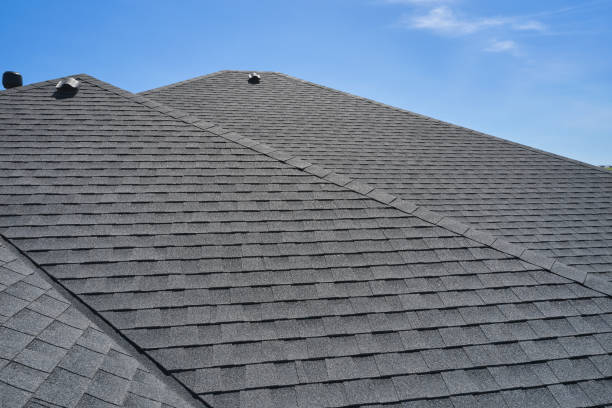 Best Roof Insulation Installation  in Selma, NC